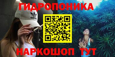 spice Абинск