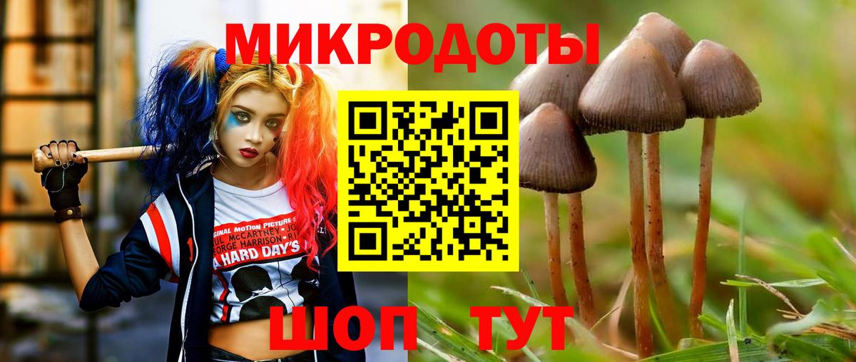 Галлюциногенные грибы Cubensis  Вход с VPN  закладки  Ангарск  Псилоцибиновые грибы мицелий 